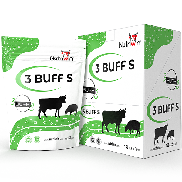3 Buff s