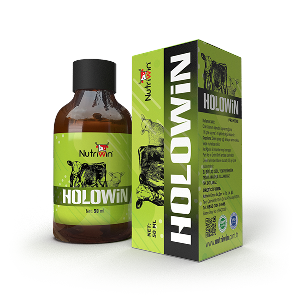 Holowin