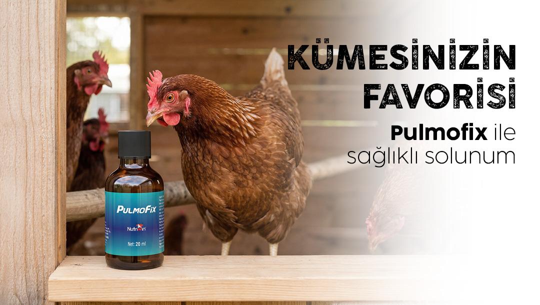 Nutriwin Blog: Pulmofix Nedir? Kanatlı Hayvanlarda Solunum Sağlığı, Bağışıklık ve Performans İçin Etkili Destek